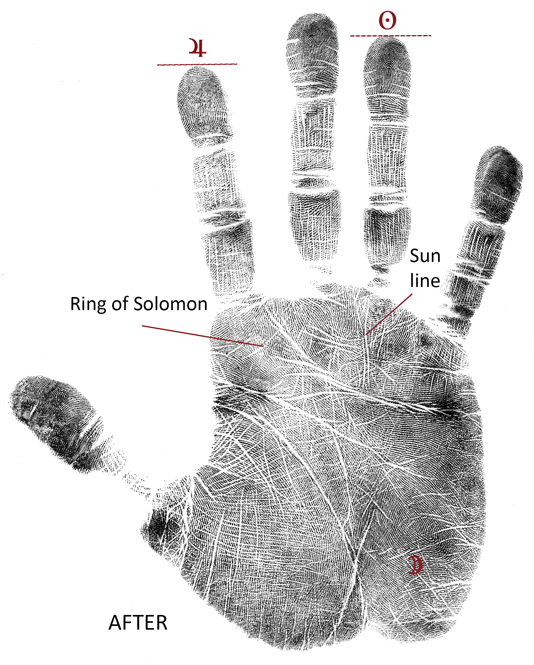 Palmistry: People With Thin Fingers Are Creative, Learn Which Finger Type  Proves To Be Unlucky- My Jyotish